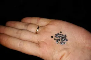 Bị kẻ lạ mặt đến tận nhà nổ súng hoa cải