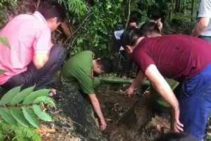 Cả xã nhốn nháo với tin đồn 3 tấn vàng trong núi