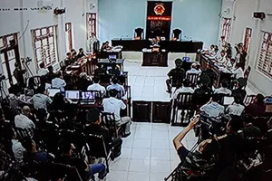 Út 'trọc' và đồng phạm đã câu kết phạm tội ra sao?