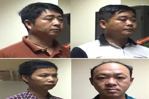 2 giám đốc nhập phế liệu vào Việt Nam bị bắt giữ