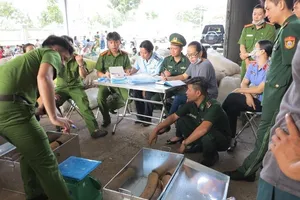 Bắt giữ lô ngà voi và vảy tê tê lớn nhất nhiều năm qua