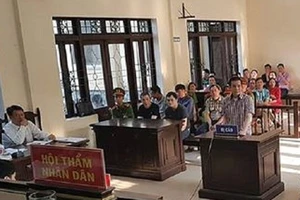 Điều tra bổ sung vì nghi CSGT 'bảo kê' xe vi phạm