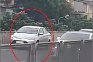 Ô tô lùi xe ngược chiều ở đường trên cao