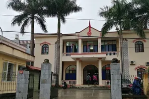 Hi hữu: Án dân sự của mẹ quyết định... hình phạt tù của con