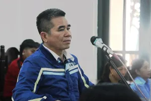 Bảo vệ rừng kêu oan ở Bắc Giang bị phạt 3 năm tù