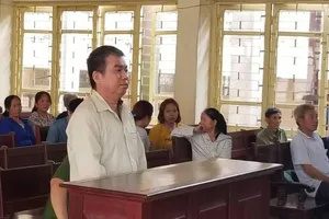 Kỳ án giết mẹ ruột: 'Cần triệu tập điều tra viên đến tòa'