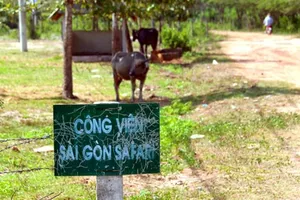 Vì sao công viên Sài Gòn Safari bị “treo” tới 14 năm?