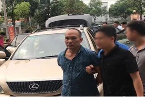 Tổng giám đốc đi xe Lexus chuyên trộm cắp tài sản