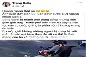 Hoang báo tin cướp lên Facebook, cô gái bị phạt 12,5 triệu