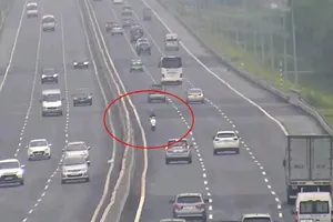 Tước bằng lái thanh niên phóng xe ngược chiều trên cao tốc