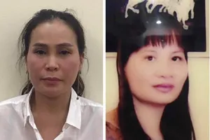 Vụ 8-12 Lê Duẩn TP.HCM: Bắt chủ tịch Công ty Hoa Tháng Năm