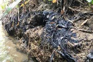 Vụ xả thải nước sông Đà: Chủ tịch công ty có dầu thải nói gì?