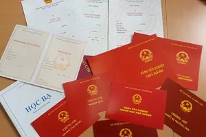 Một trưởng phòng cảnh sát kinh tế bị tước danh hiệu công an