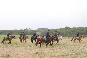  Hơn 100 con ngựa của kỵ binh Bộ Công an