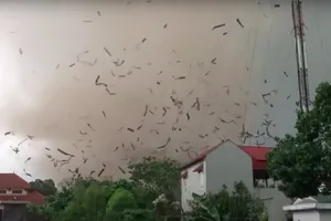 Lốc xoáy cuốn theo hàng trăm tấm gỗ bay lên cao. Ảnh cắt từ clip