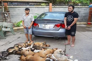 Bức xúc nạn trộm chó, cử tri đề xuất Bộ Công an tăng hình phạt