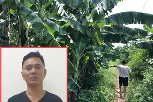 Bắt nghi can xâm hại bé 12 tuổi ở vườn chuối