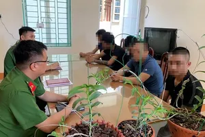 Công an cảnh báo nguy cơ 'sập bẫy' hoa lan đột biến gen