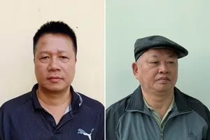 Bắt cựu GĐ Vetranco và Chủ tịch Công ty CP Tập đoàn Đại Nam