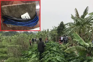 Bẫy chuột bằng điện làm chết người, chủ ruộng bị khởi tố