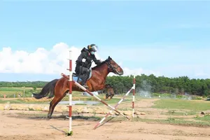 Đoàn kỵ binh Bộ Công an: Ngựa hay, người cưỡi giỏi