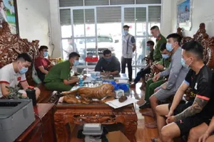 Bộ Công an chỉ đạo truy quét cá độ mùa WorldCup, Euro 