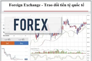 Công an TP Hà Nội cảnh báo nguy cơ từ sàn Forex