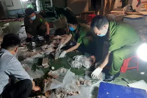 Bộ Công an phá ổ nhóm giấu ma túy trong dạ dày heo