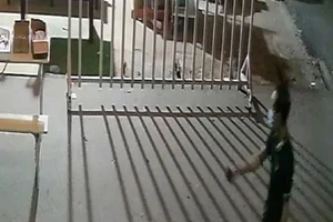 Trốn đi mua đồ ăn, một F0 bị phạt 17,5 triệu đồng