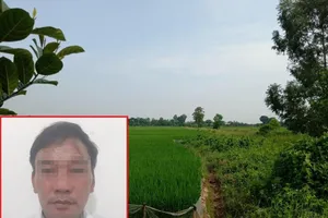 Dùng điện bẫy chuột, làm chết bà hàng xóm