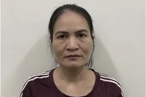 Bắt giam nữ chuyên viên Tổng cục Đường bộ cấp khống 1.000 thẻ ‘luồng xanh’