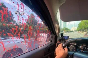 Công an Hà Nội điều tra vụ hàng loạt ô tô bị tạt sơn đỏ