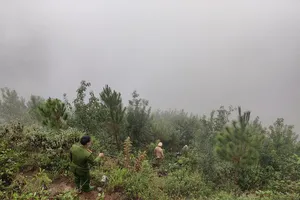 Ô tô lao xuống vực sâu 200 m ở đèo Mã Pí Lèng, 3 người tử vong