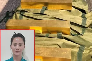 Nhà ngoại cảm ‘dỏm’ lừa đảo 52 tỉ đồng, ‘nổ’ có thể tìm được mộ liệt sĩ