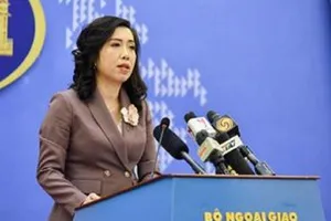 Thông tin mới về các lô hạt điều Việt bị mất kiểm soát