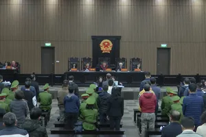 Vụ AIC: Bị cáo đang bị truy nã có nguyện vọng 'sẽ quay về chấp hành bản án'