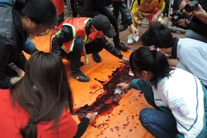 Tổ chức Động vật Châu Á kiến nghị chấm dứt lễ hội chém lợn ở Bắc Ninh