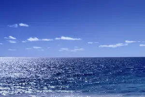 Đại úy hải quân rơi xuống biển mất tích trong khi làm nhiệm vụ 