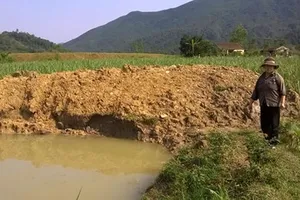 Rơi xuống ao sau vườn, hai trẻ 3 tuổi chết đuối thương tâm