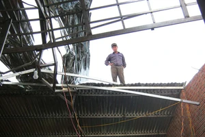 Cuồng phong thổi rung nhà, chui gầm giường trú ẩn