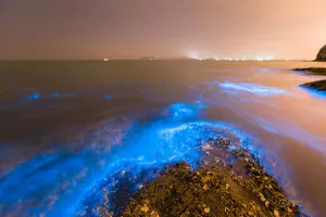 Bờ biển sáng xanh kỳ lạ ở Trung Quốc