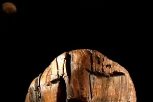 Bí ẩn tượng gỗ 11 vạn năm không mục nát