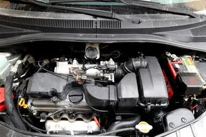 Kinh nghiệm ngăn chuột phá ô tô của bạn