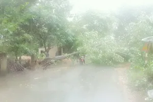 Hà Nội tiếp tục có mưa to về chiều, đề phòng ngập nặng