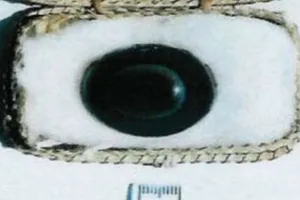 Viên đá hơn 3.000 năm tuổi có giá 200 triệu USD