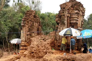 Con đường cổ vừa phát hiện ở Mỹ Sơn có gì lạ?