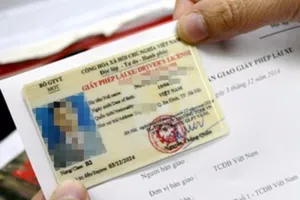 Bạn biết gì về bằng lái xe tự động hạng B11?