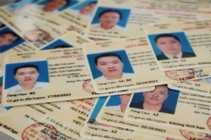 Trường hợp nào không được đổi giấy phép lái xe?