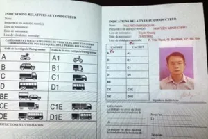 Đối tượng nào được cấp giấy phép lái xe quốc tế?