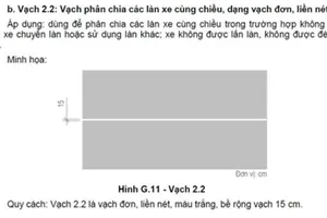 Thông tin thêm về vạch liền trên đường tài xế hay vi phạm